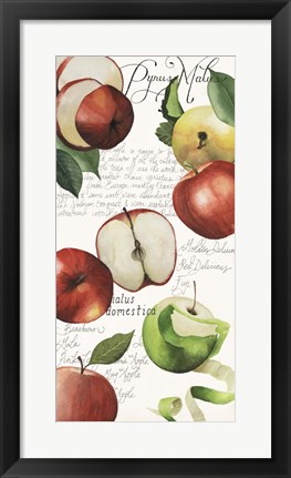 Framed Pyrus Study II Print