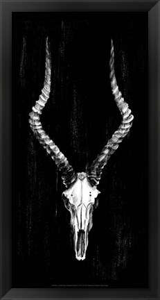 Framed Rustic European Mount II Print
