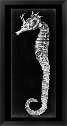 Framed Seahorse Blueprint I Print