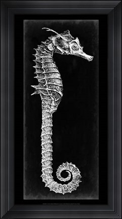 Framed Seahorse Blueprint II Print