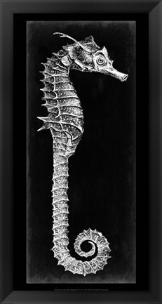 Framed Seahorse Blueprint II Print