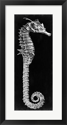 Framed Seahorse Blueprint II Print