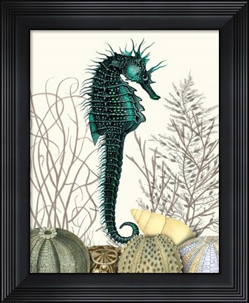 Framed SeaHorse and Sea Urchins Print