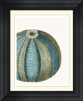 Framed Blue Underwater Scenes 2 a Print