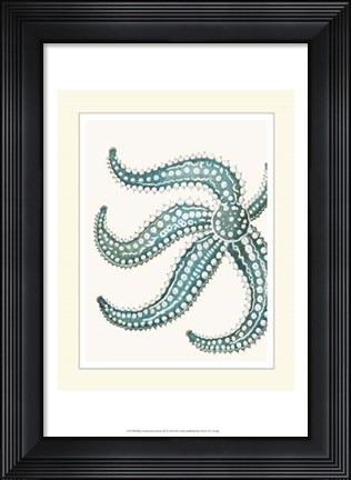 Framed Blue Underwater Scenes 2 d Print