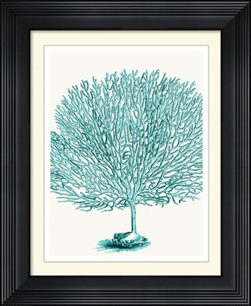 Framed Blue Underwater Scenes 1 d Print