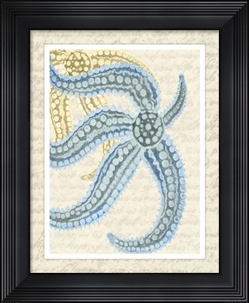 Framed Blue Corals On VIntage Script a Print