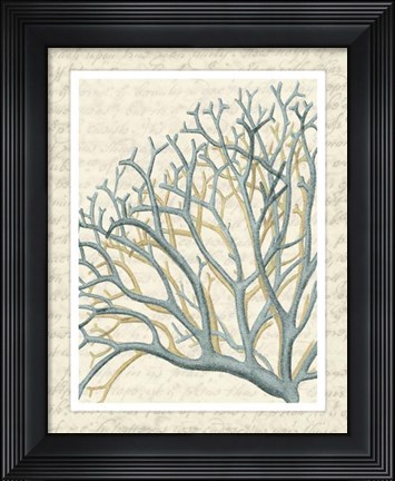 Framed Blue Corals On VIntage Script b Print