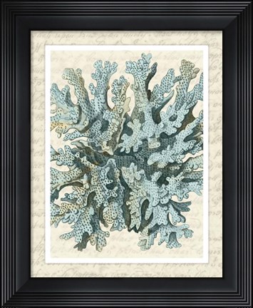 Framed Blue Corals On VIntage Script c Print