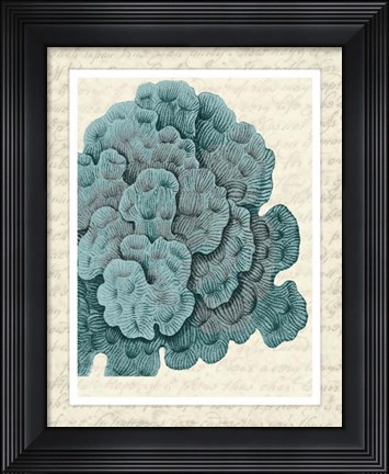 Framed Blue Corals On VIntage Script e Print