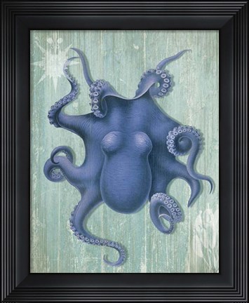 Framed Coastal Life Collection 1 b Print