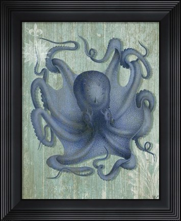 Framed Coastal Life Collection 1 c Print