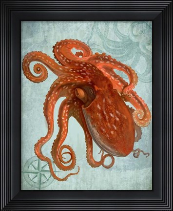 Framed Coastal Life Collection 2 a Print