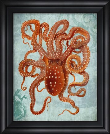 Framed Coastal Life Collection 2 b Print