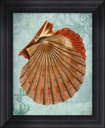 Framed Coastal Life Collection 2 c Print