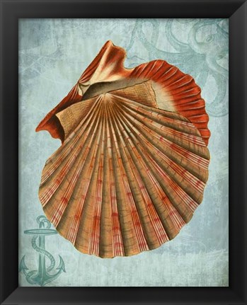 Framed Coastal Life Collection 2 c Print