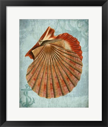 Framed Coastal Life Collection 2 c Print