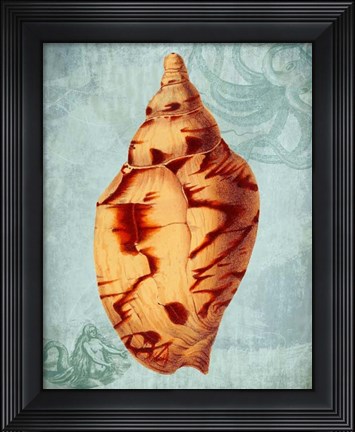 Framed Coastal Life Collection 2 d Print