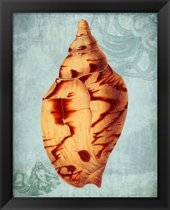 Framed Coastal Life Collection 2 d Print