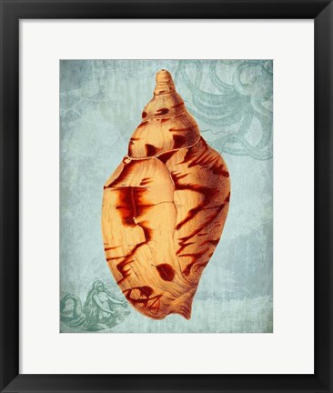 Framed Coastal Life Collection 2 d Print