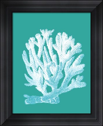 Framed Coral 1 White On Turquoise Print