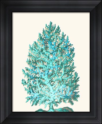 Framed Coral Tree Turquoise on Cream Print