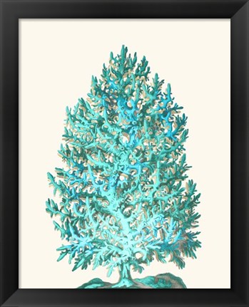 Framed Coral Tree Turquoise on Cream Print