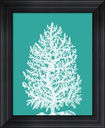 Framed Coral Tree White on Turquoise Print