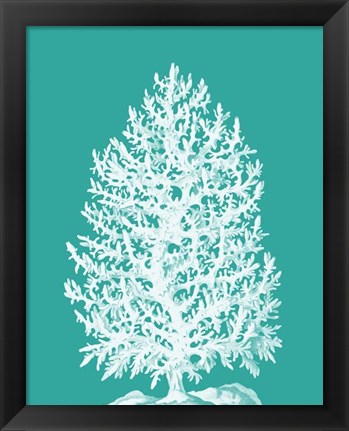 Framed Coral Tree White on Turquoise Print