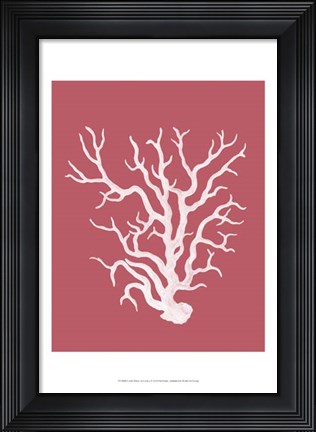 Framed Corals White on Coral a Print