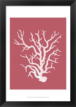 Framed Corals White on Coral a Print