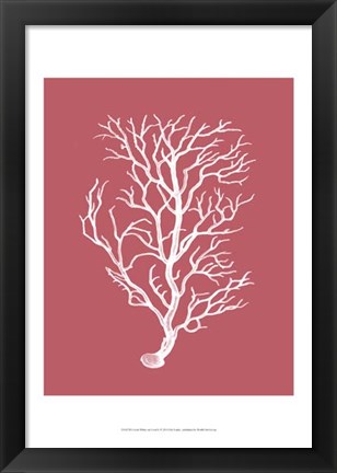 Framed Corals White on Coral b Print