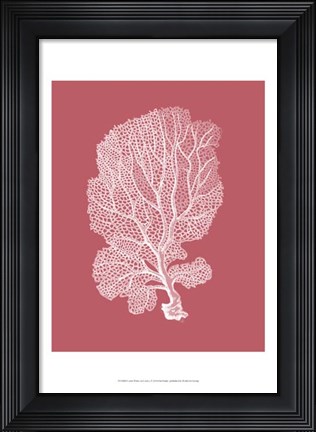 Framed Corals White on Coral c Print
