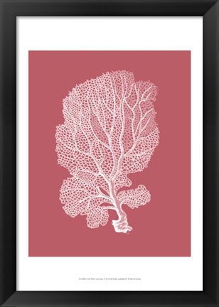Framed Corals White on Coral c Print