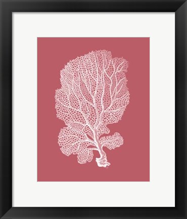 Framed Corals White on Coral c Print