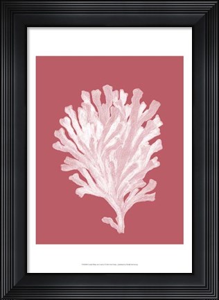 Framed Corals White on Coral d Print
