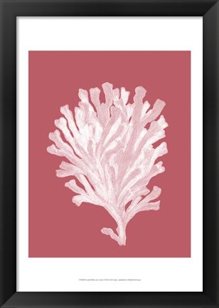 Framed Corals White on Coral d Print