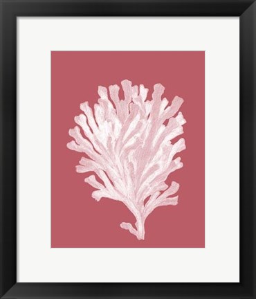 Framed Corals White on Coral d Print