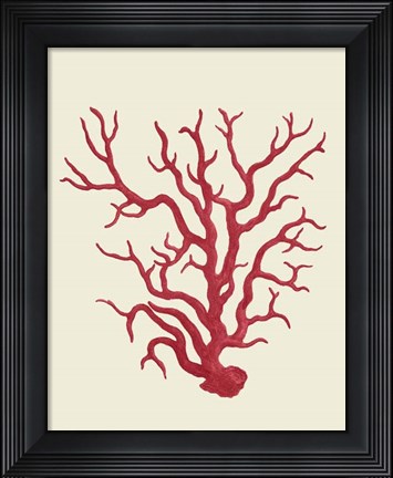 Framed Corals Coral On Cream a Print