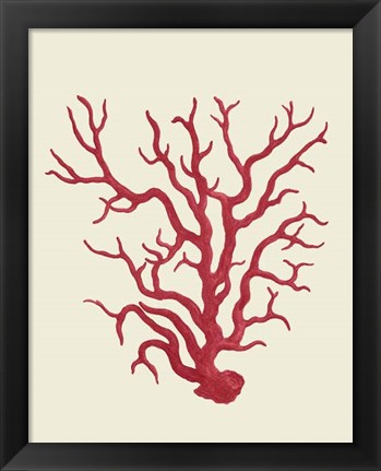Framed Corals Coral On Cream a Print