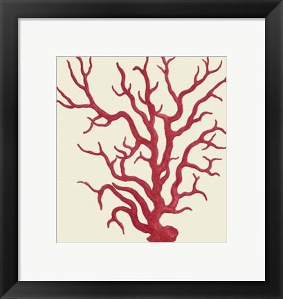 Framed Corals Coral On Cream a Print