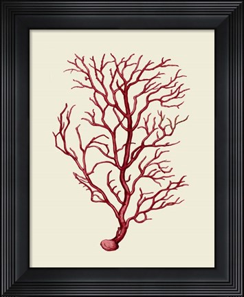 Framed Corals Coral On Cream b Print