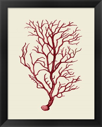 Framed Corals Coral On Cream b Print