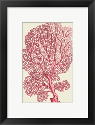 Framed Corals Coral On Cream c Print