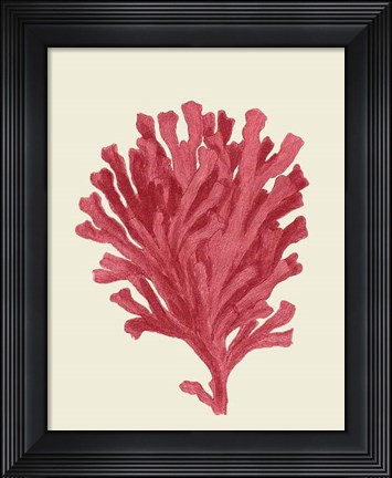 Framed Corals Coral On Cream d Print