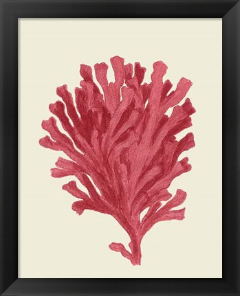 Framed Corals Coral On Cream d Print