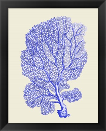 Framed Blue Corals b Print