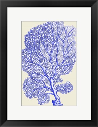 Framed Blue Corals b Print