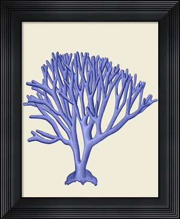 Framed Blue Corals c Print