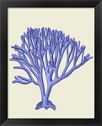 Framed Blue Corals c Print